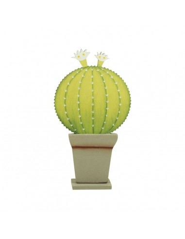 PROMOTION *cactus