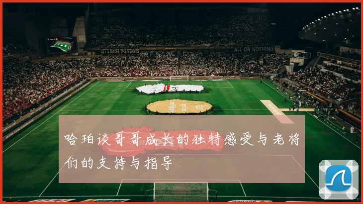 哈珀谈哥哥成长的独特感受与老将们的支持与指导